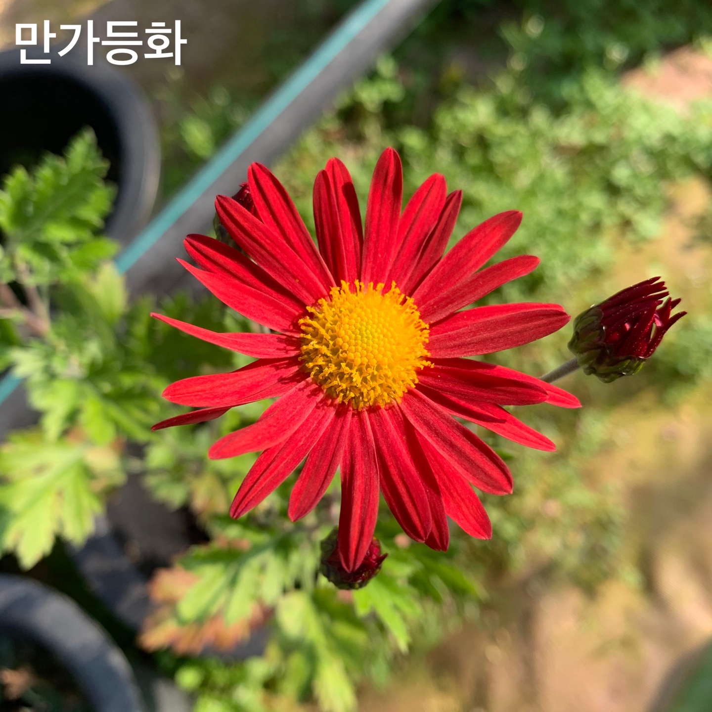 6d222c03b57bbac5777e5455226bcaa8_KakaoTalk_20220104_130712005_15.jpg