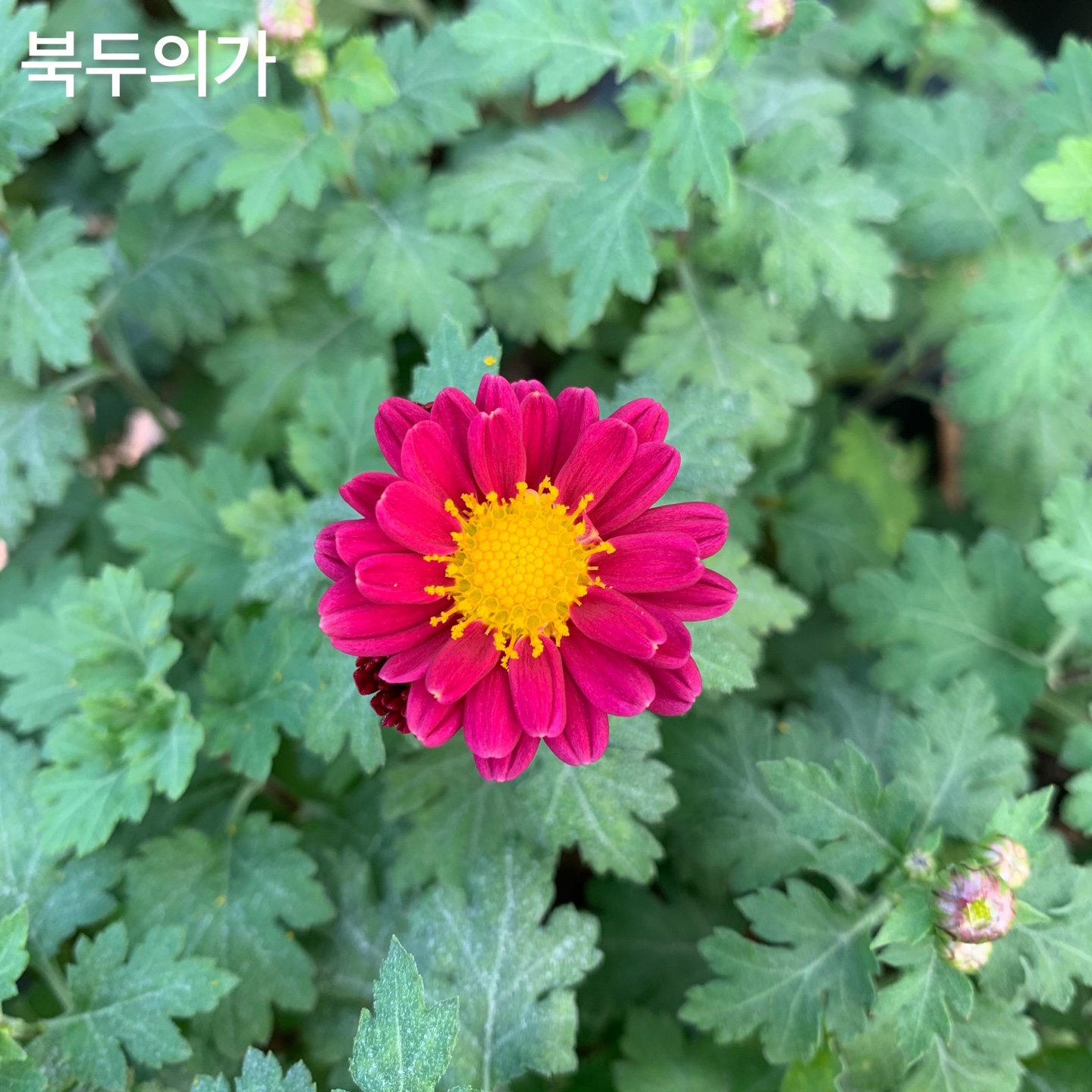 6d222c03b57bbac5777e5455226bcaa8_KakaoTalk_20220104_130754724_01.jpg