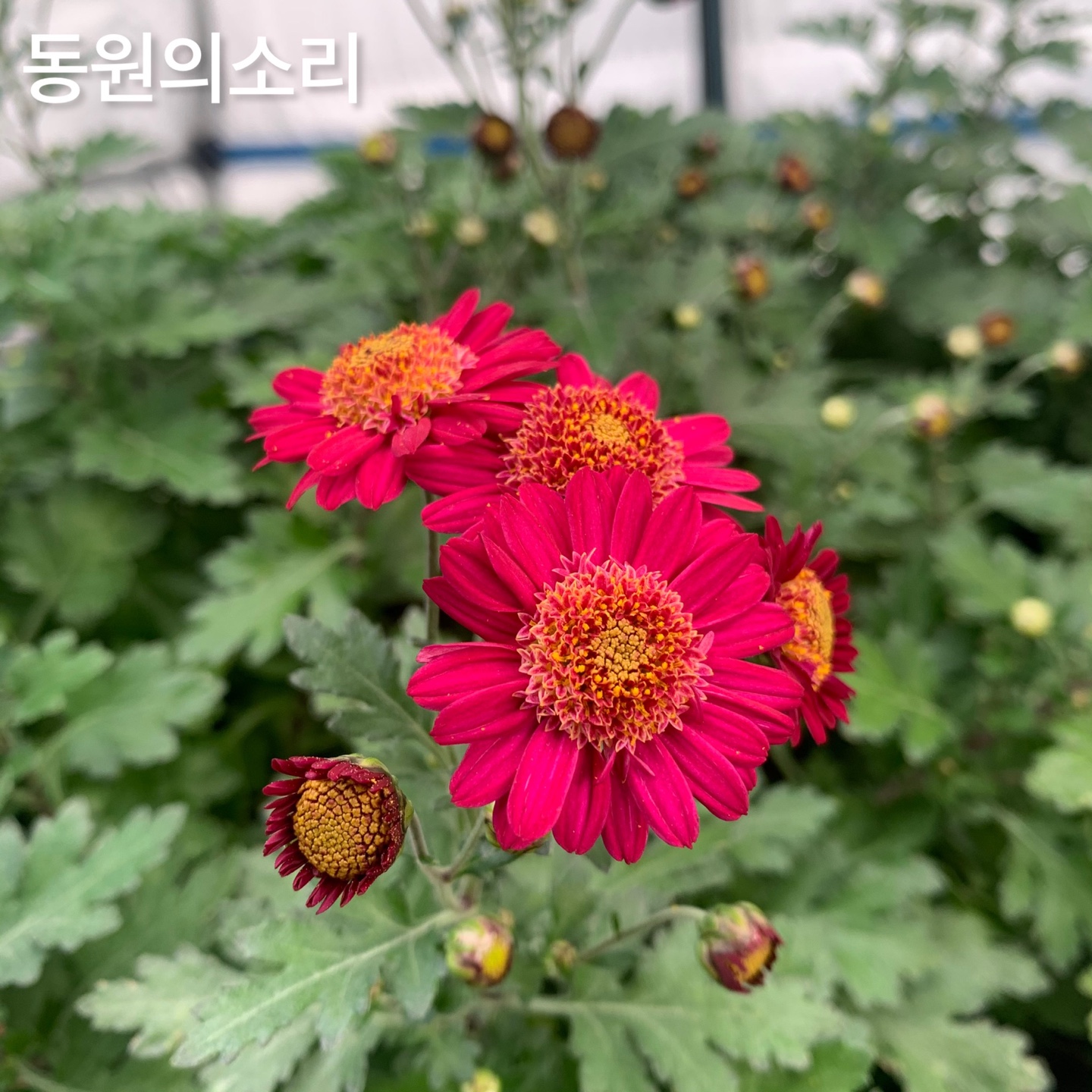 6d222c03b57bbac5777e5455226bcaa8_KakaoTalk_20220104_130754724_05.jpg