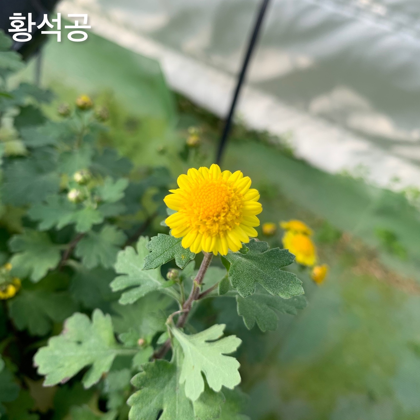 6d222c03b57bbac5777e5455226bcaa8_KakaoTalk_20220104_130754724_07.jpg