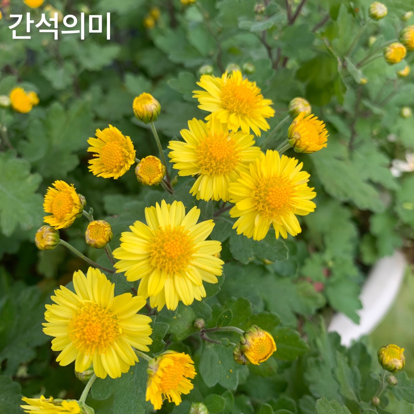 6d222c03b57bbac5777e5455226bcaa8_KakaoTalk_20220104_130754724_08.jpg