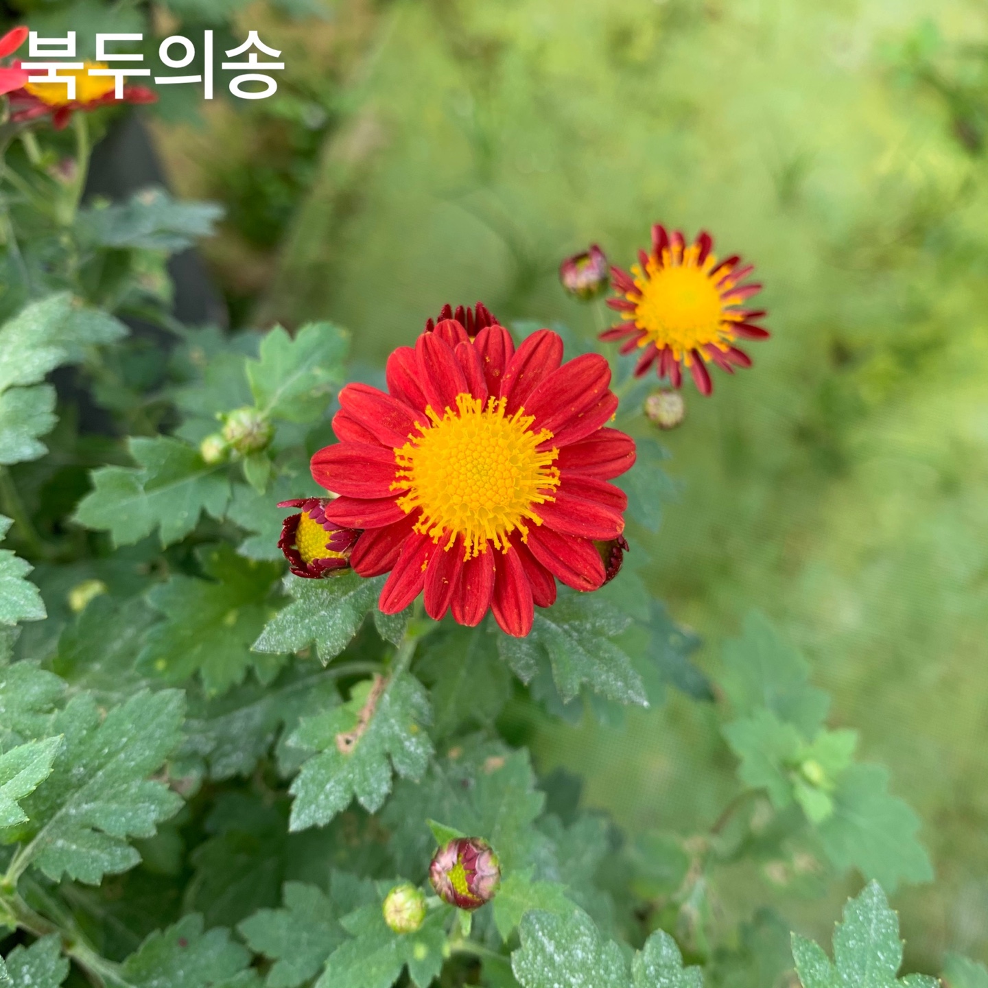6d222c03b57bbac5777e5455226bcaa8_KakaoTalk_20220104_130754724_29.jpg