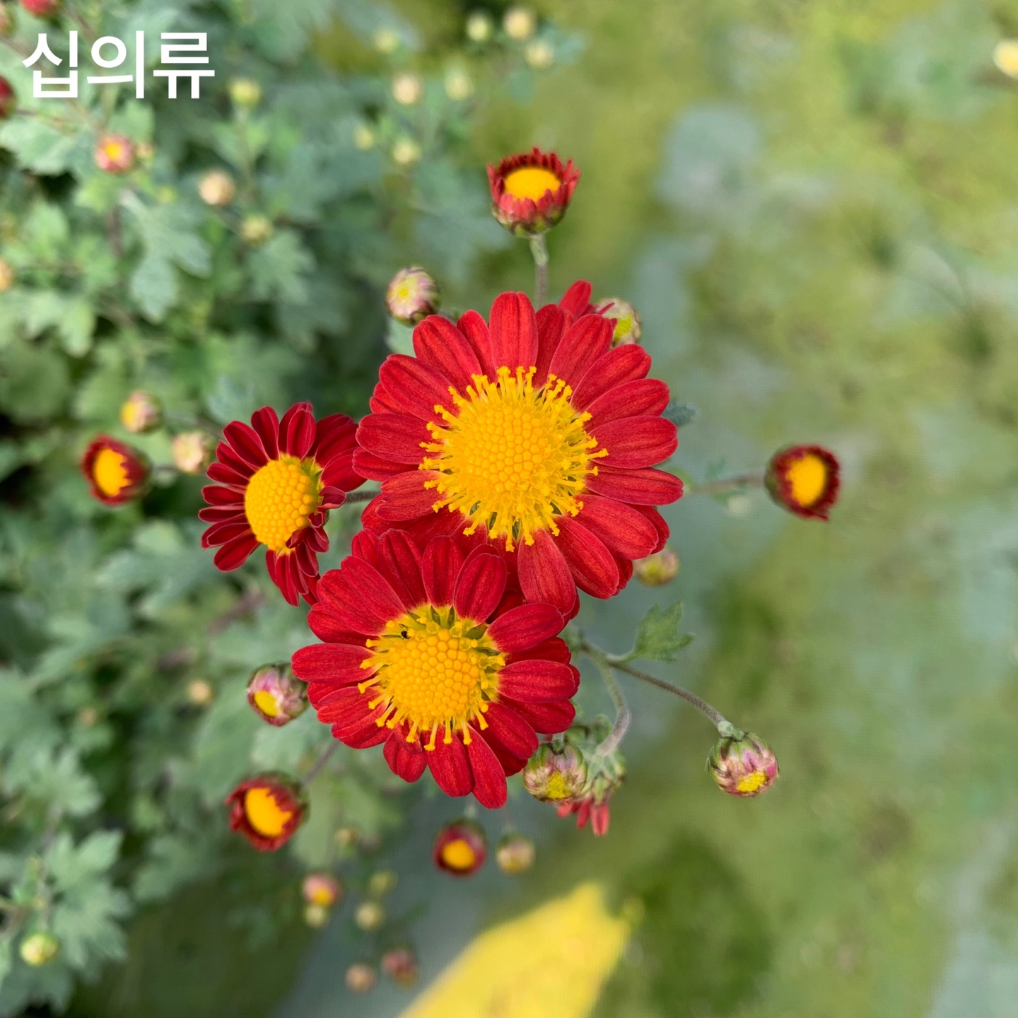 6d222c03b57bbac5777e5455226bcaa8_KakaoTalk_20220104_130819502_04.jpg