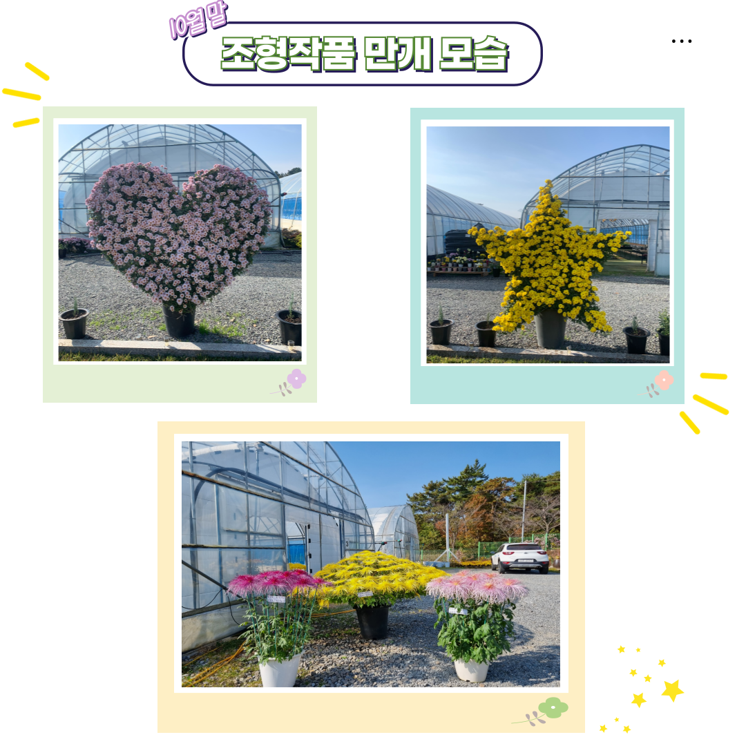 772fd4595f5ccc450fe02813a3cb1d6f_006.png