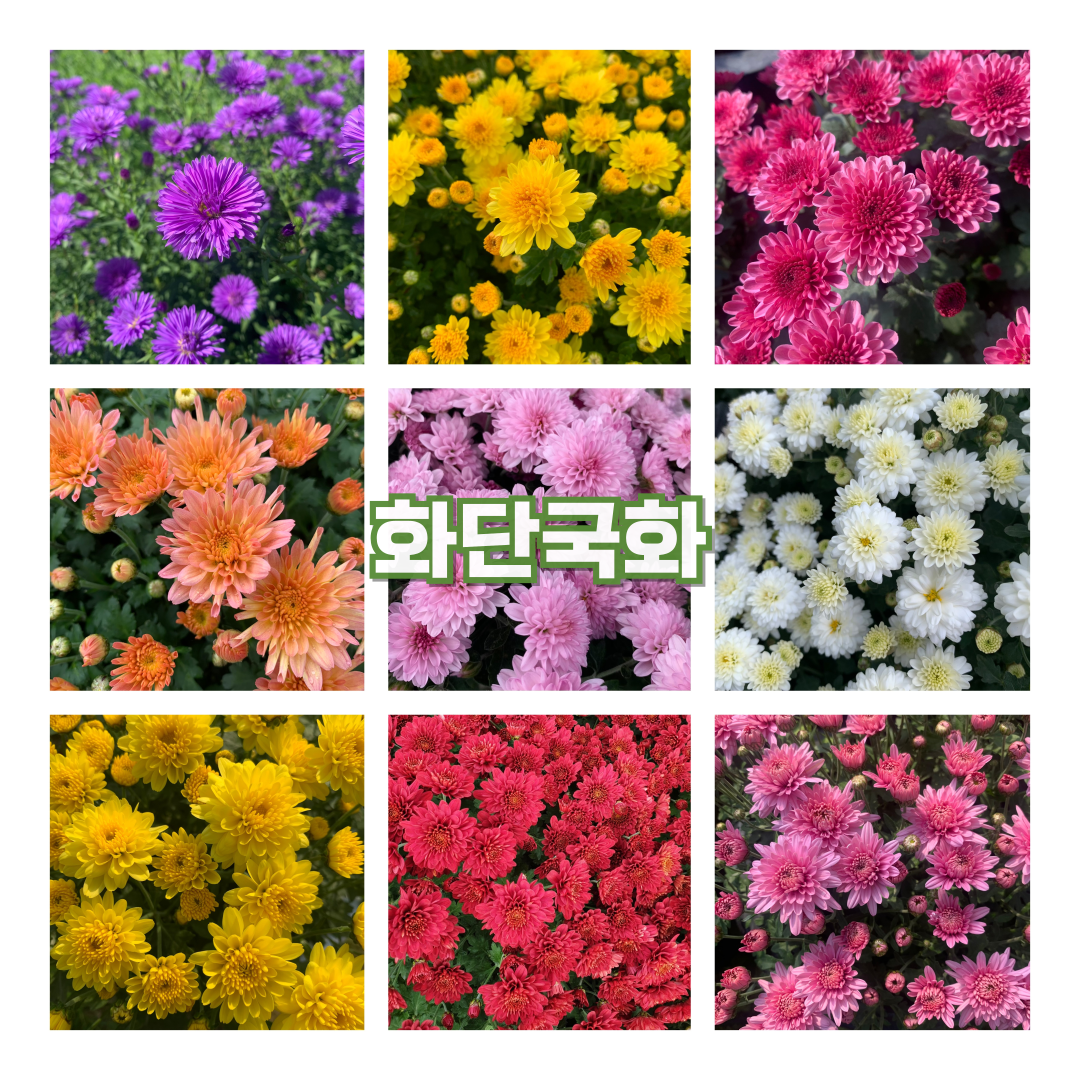 772fd4595f5ccc450fe02813a3cb1d6f_007.png